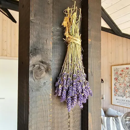 House In Nature By The Water At Lango *
